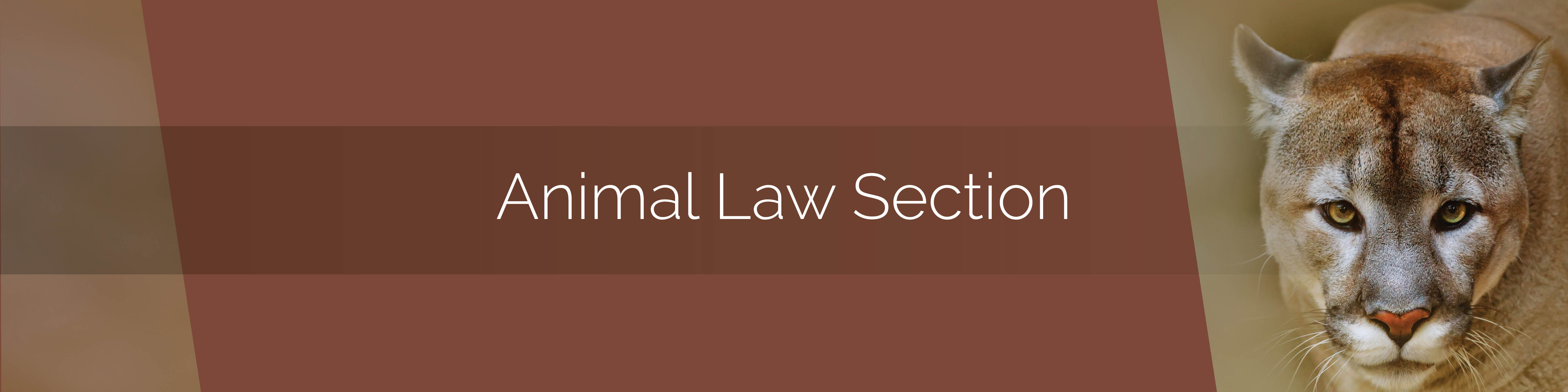 animal law dissertation ideas